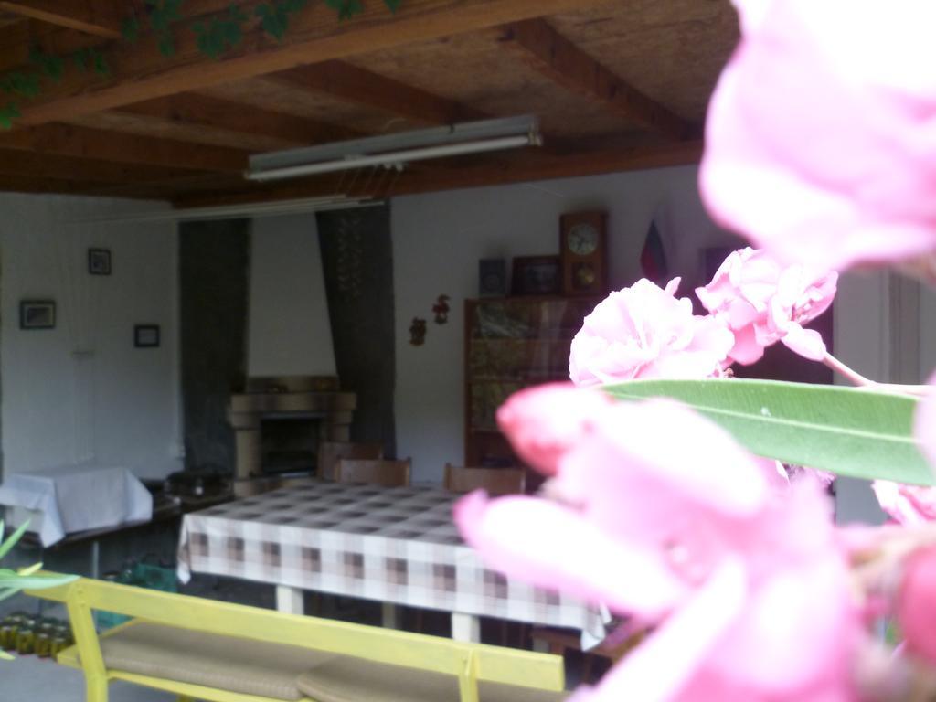 Stai Za Gosti Venera Hotel Hisarya Buitenkant foto