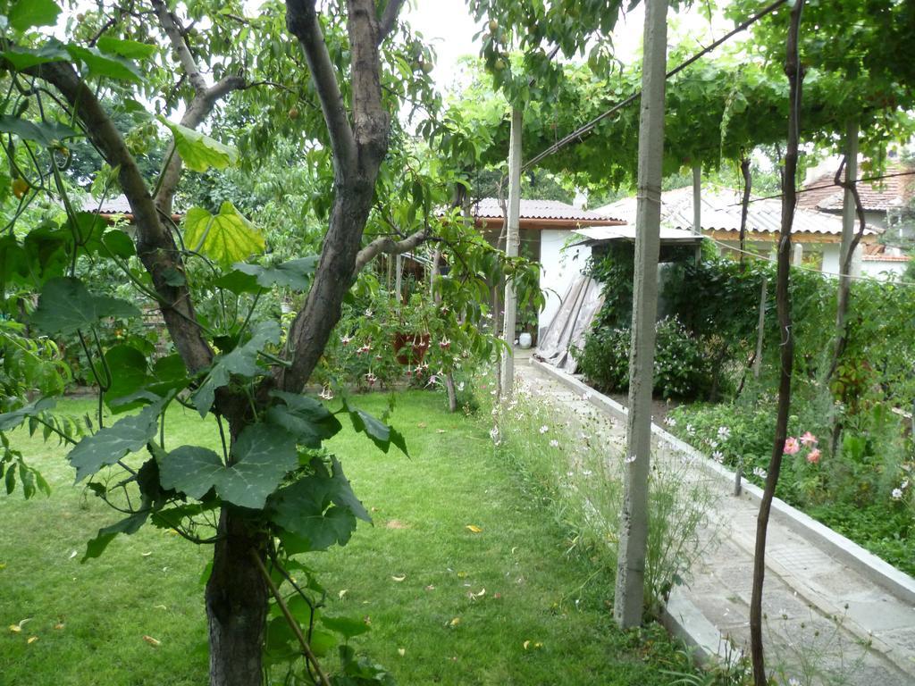 Stai Za Gosti Venera Hotel Hisarya Buitenkant foto
