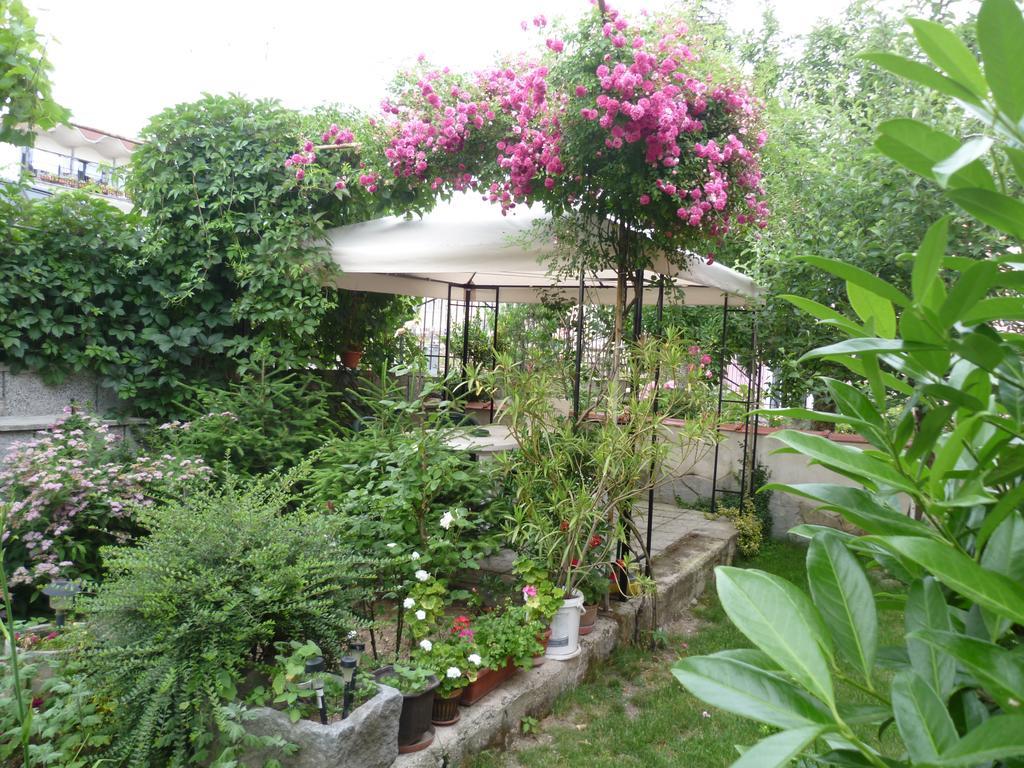 Stai Za Gosti Venera Hotel Hisarya Buitenkant foto